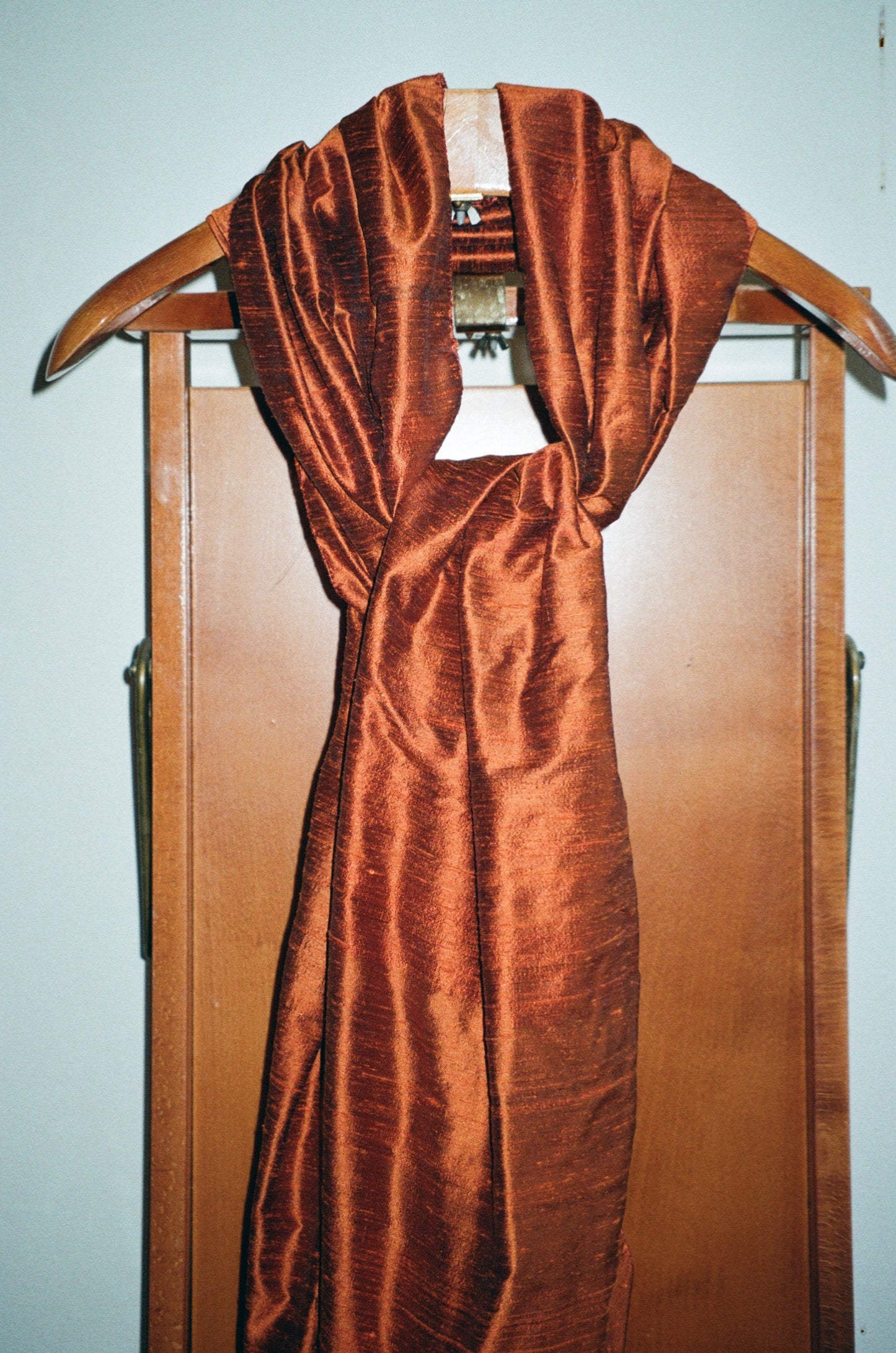 THE SILK SHAWL